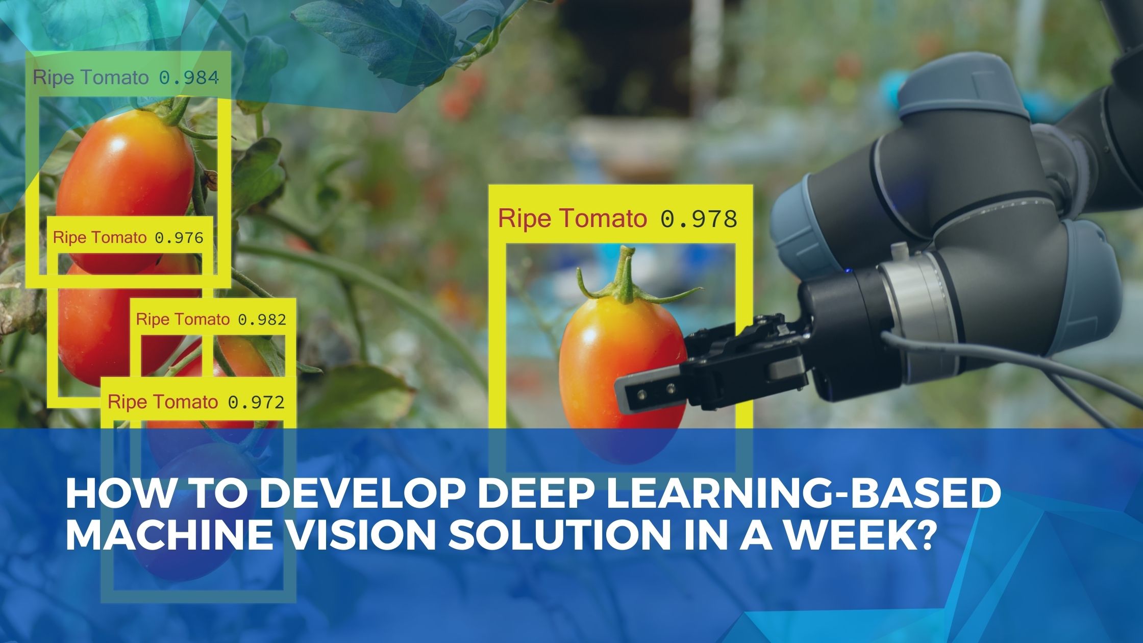 How to develop deep learning-based machine vision solution in a week?